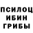 Псилоцибиновые грибы Psilocybe Hordz