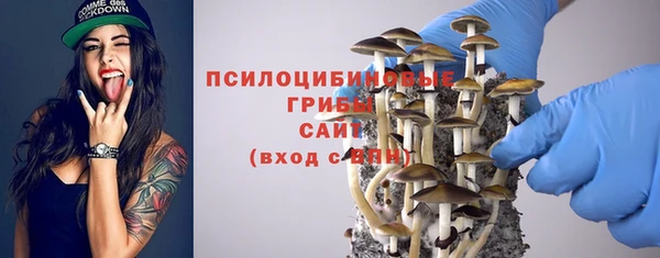 спиды Алексеевка