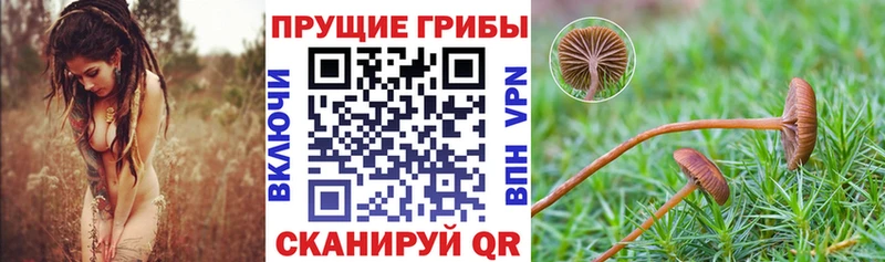 наркошоп  Прохладный  Галлюциногенные грибы Magic Shrooms 