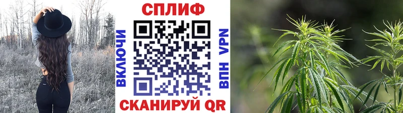 МАРИХУАНА семена OMG как войти Прохладный